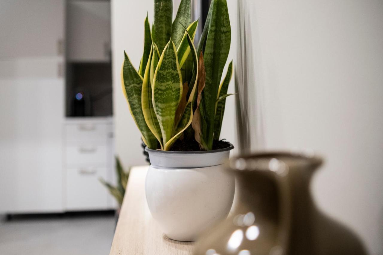 Apartament Conny'S House Katania Zewnętrze zdjęcie