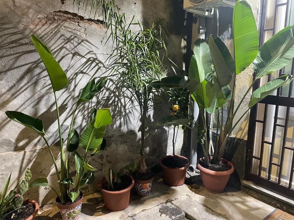 Apartament Conny'S House Katania Zewnętrze zdjęcie